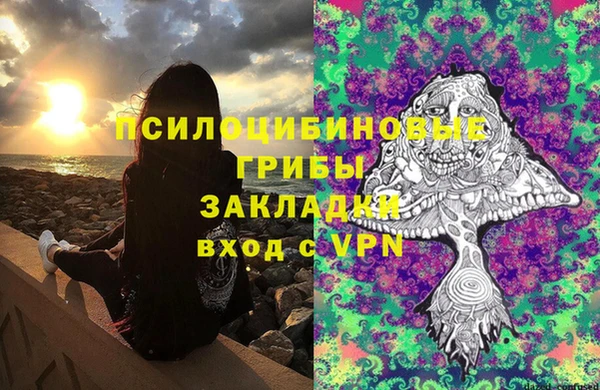 мескалин Бородино