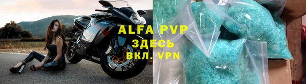 прущие грибы Бугульма